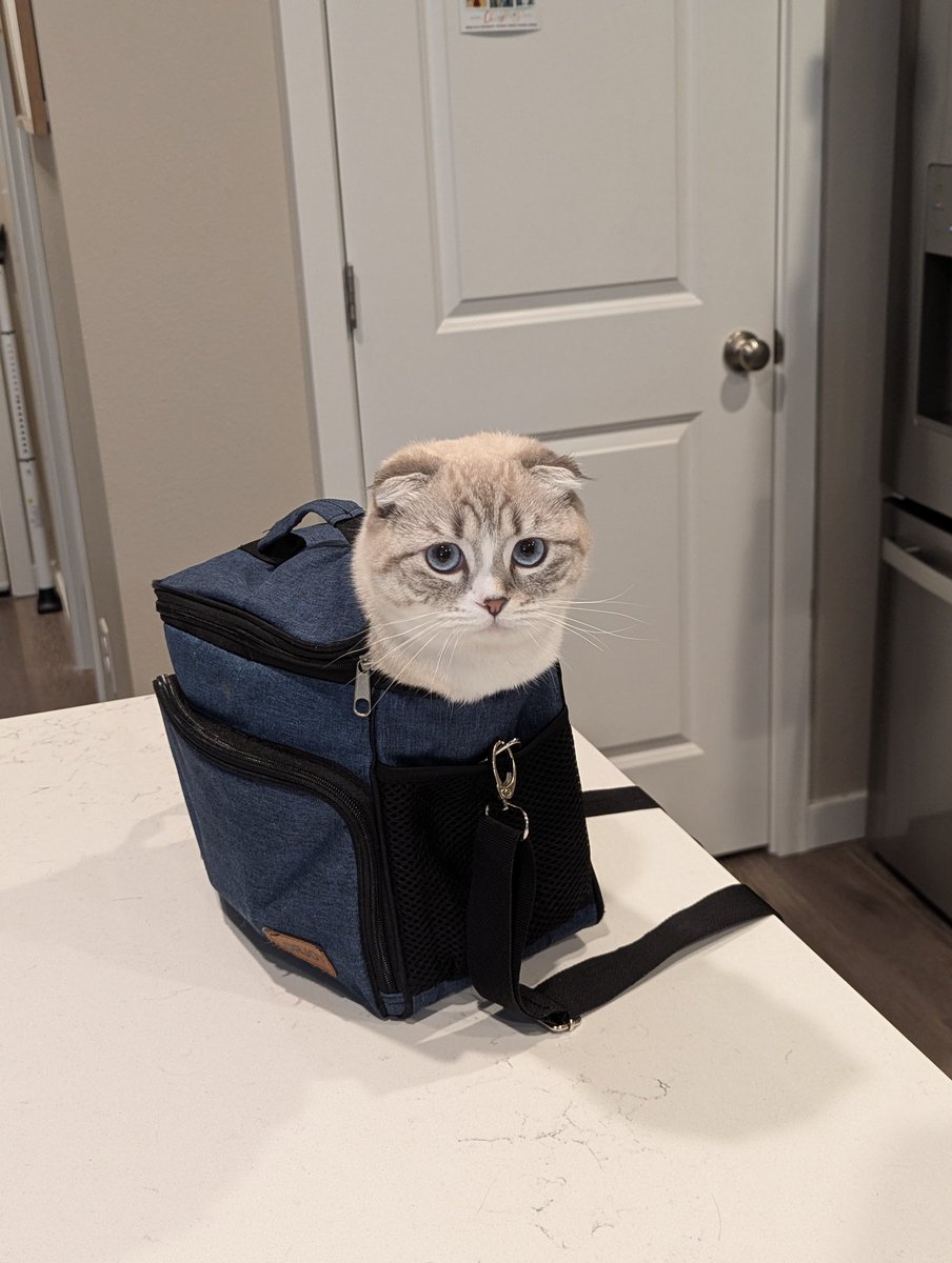 char💜🎧🎮 | envtuber tweet media