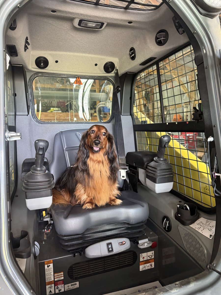 The Weens tweet media