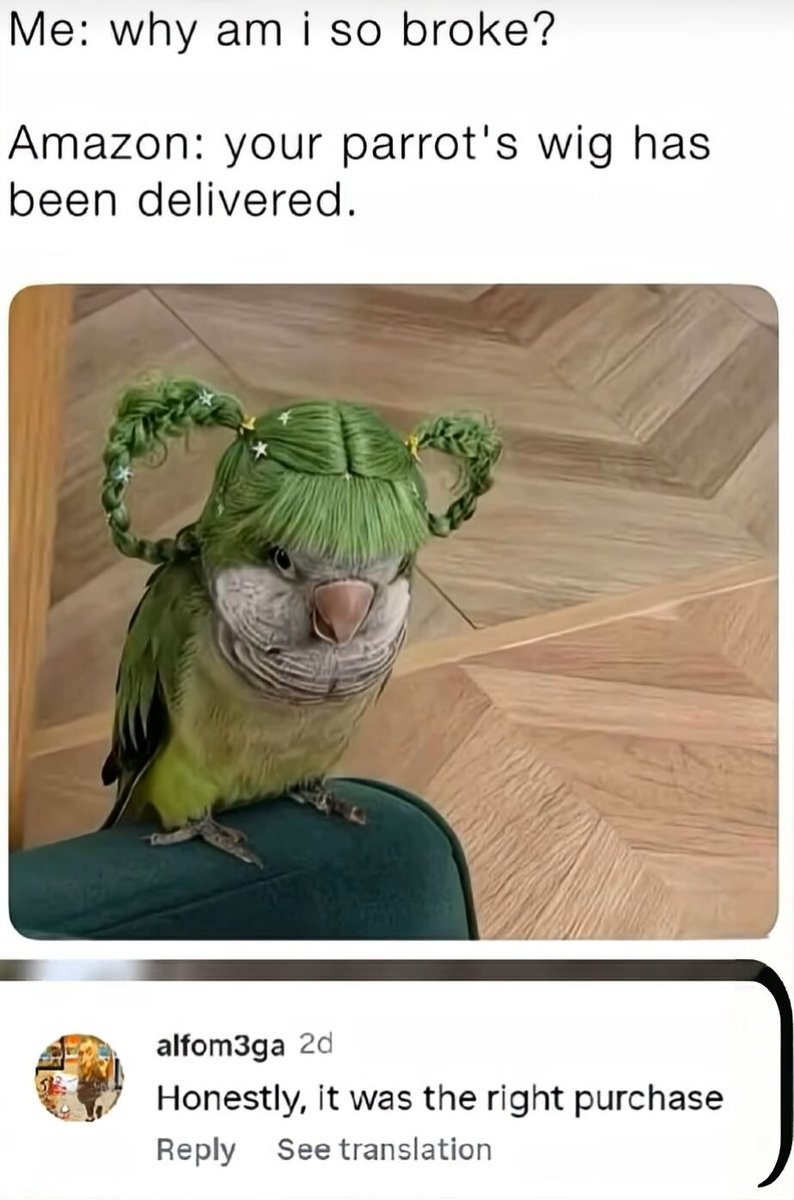 WholesomeMeme's tweet image. 