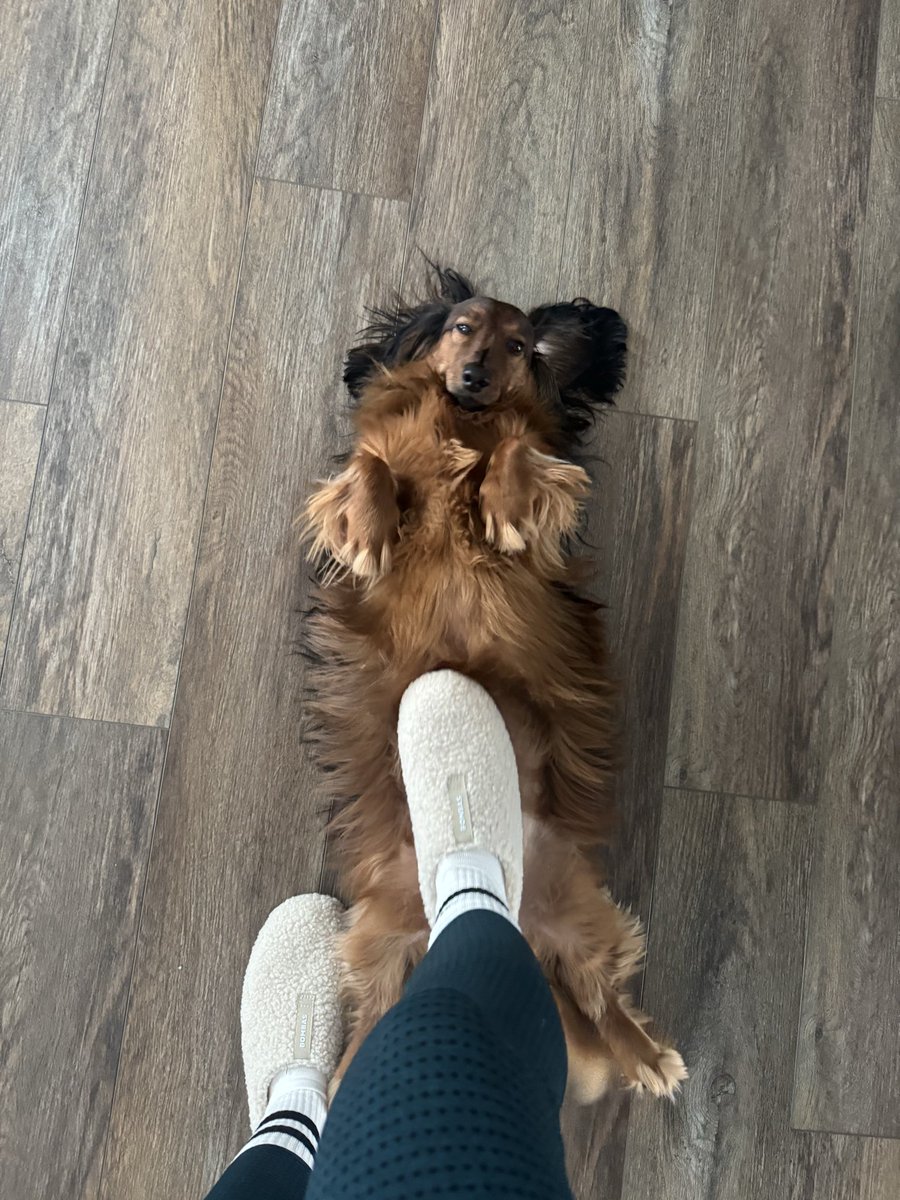 The Weens tweet media