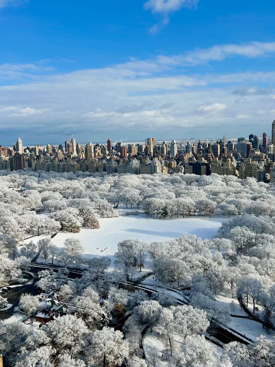 eartharchive_'s tweet image. Central Park, New York