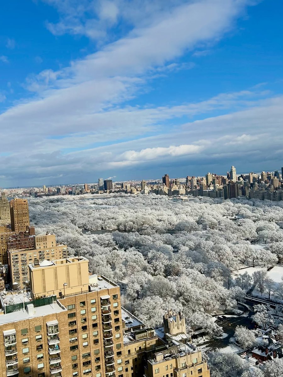 eartharchive_'s tweet image. Central Park, New York