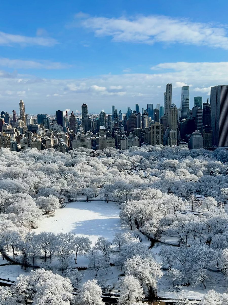 eartharchive_'s tweet image. Central Park, New York