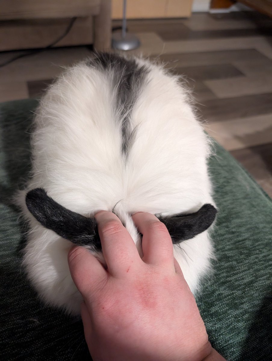 i think mine is too big