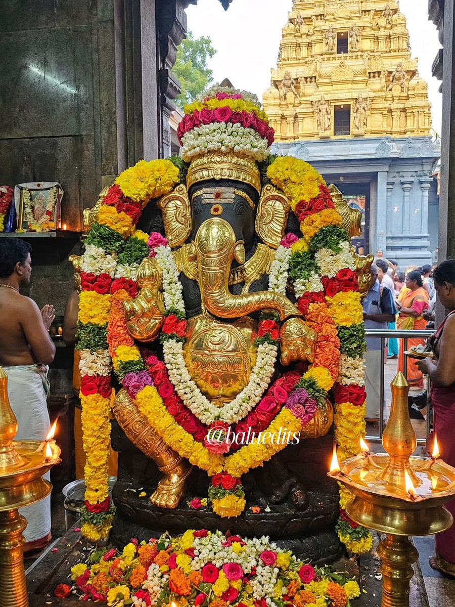 Divine Darshan of Bhagawan Ganesh ji🙏