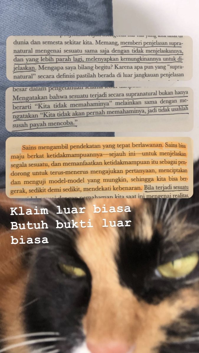 JamalMasyaallah tweet media