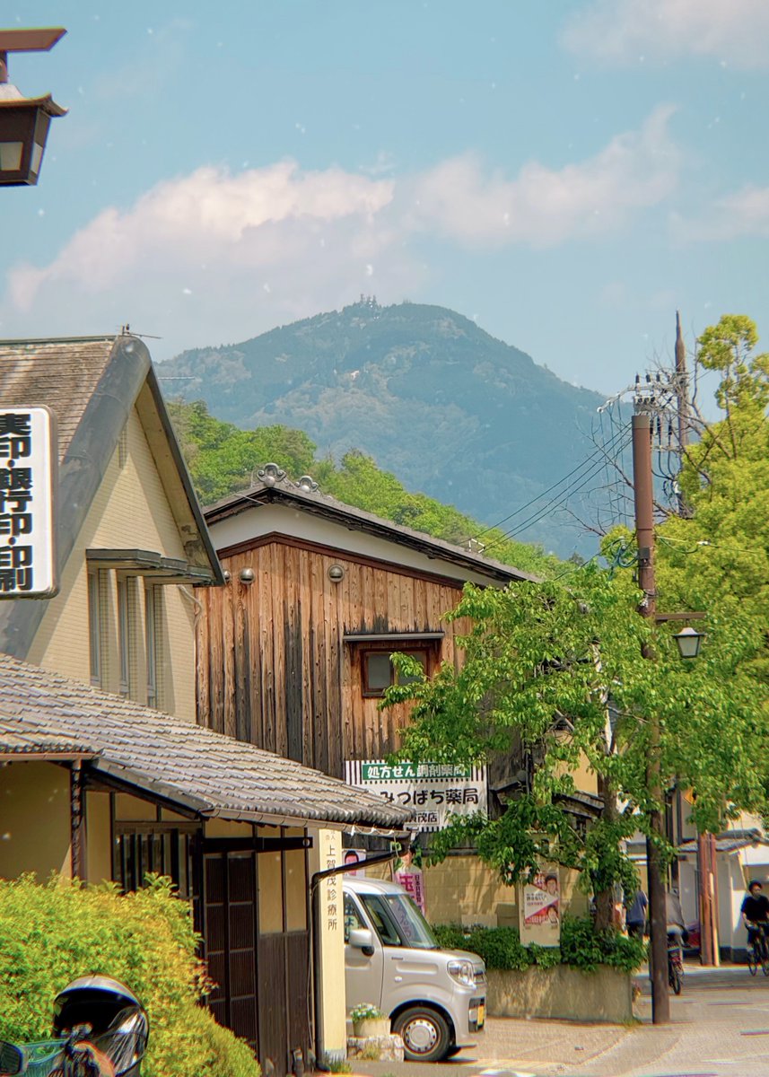 The Kyoto Connection ⛩ tweet media