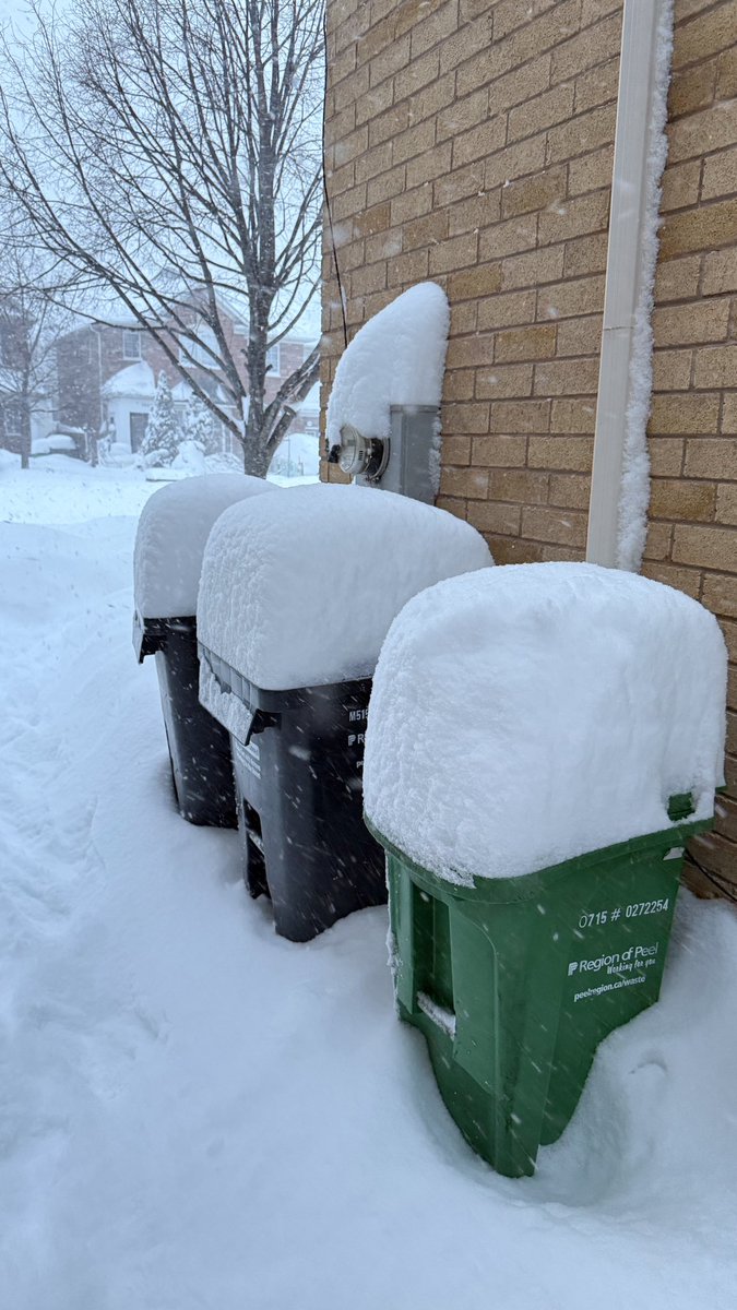 We here in Toronto digging out after a historic brutal snowstorm. ❄️😳😱😥

#torontostorm