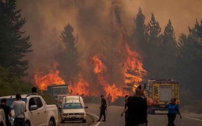 Si se prendía fuego el muro de los lamentos lo ibas a tener allá llorando como un boludo,pero como lo que se prende fuego son provincias Argentinas,se fue a boludear a mar del plata,el peor gobierno de la historia lejos