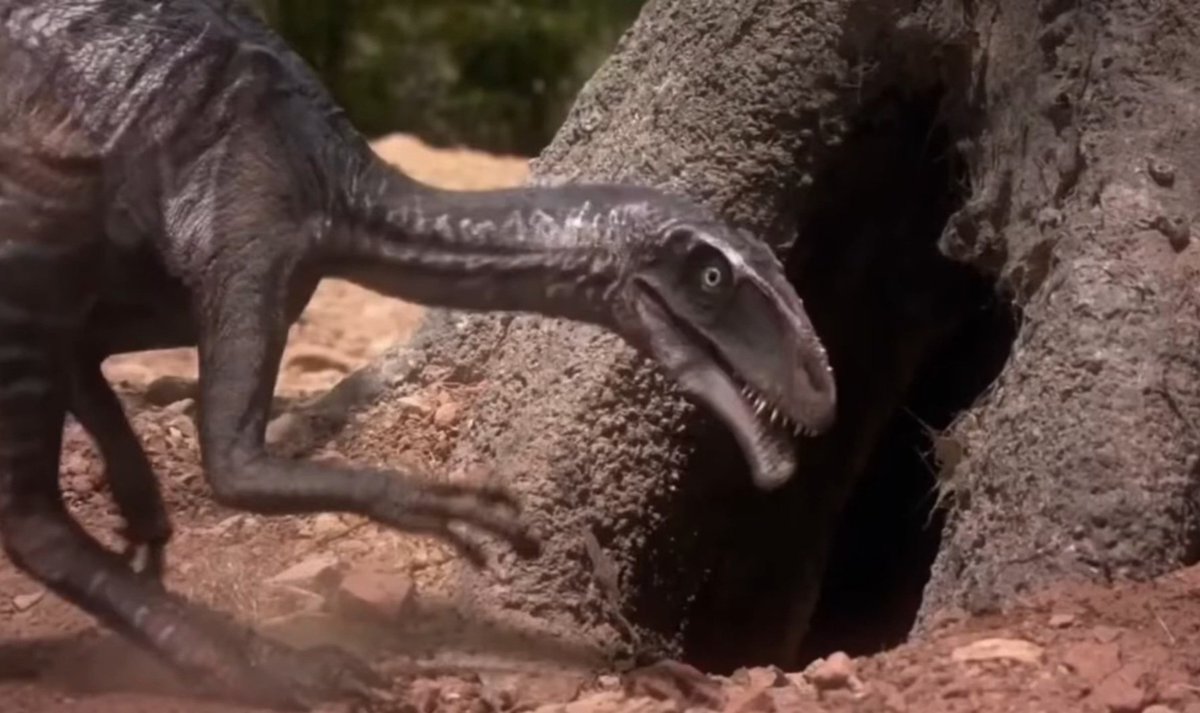 ru,6n 捷司 Jess / Deinonychus Jess tweet media