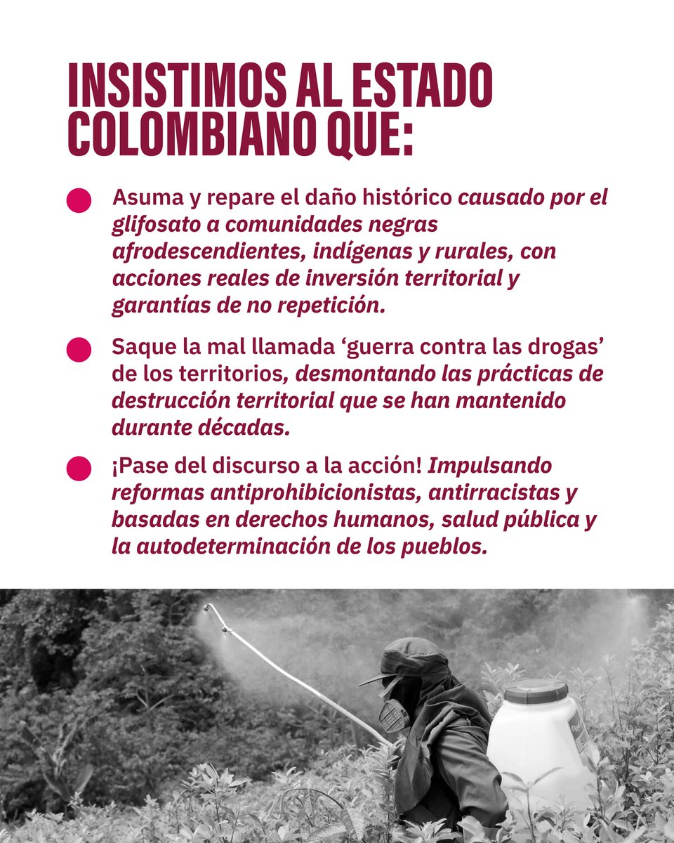 Urge que la mirada de esta realidad, siga siendo desde una mirada antiprohibicionista, antirracista y de derechos humanos.  Desde ILEX advertimos en 2025 los riesgos del uso del glifosato, ¡hoy esos riesgos siguen latentes!
