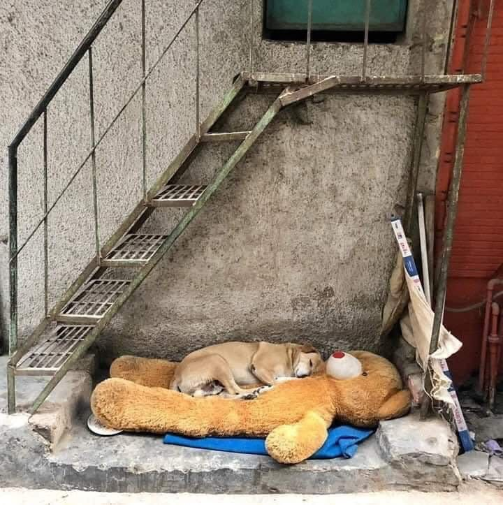 EnsedeCiencia's tweet photo. Lo que para unos ya es basura, para otros es un tesoro ❤️ https://t.co/cGpdCHBStp