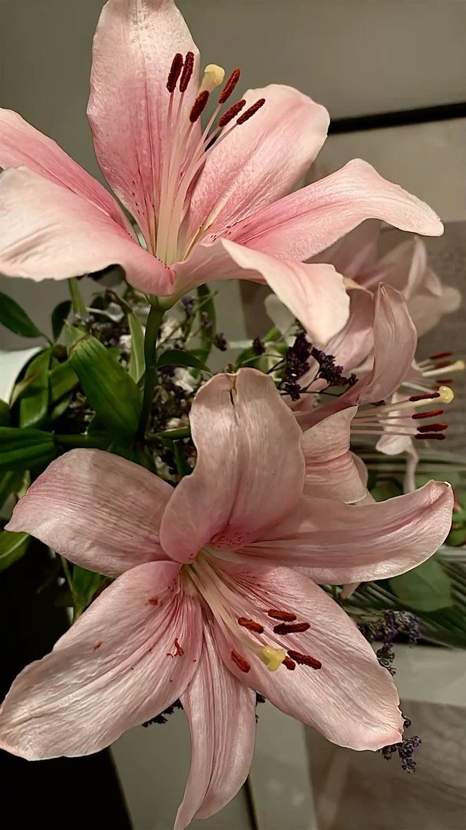 chaarpaai's tweet image. 