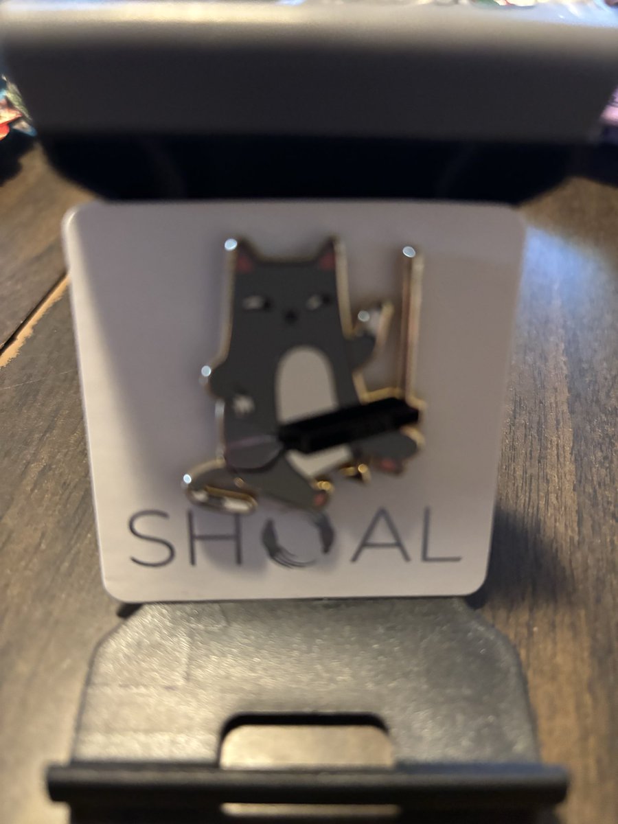 cj10ab's tweet photo. @BQQuinn  I have a pin, with a cat, playing the theremin. Do you  still play?🙃 https://t.co/T8tZlyAnFE