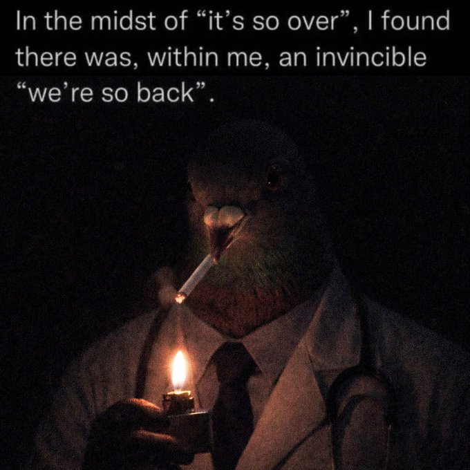 Im really liking the content coming from the guys running $pigeon doctor 

the pigeon doctor just gives me a good vibe 

We've seen a few similar plays over the past six months do very well. We continue to pigeon post from here