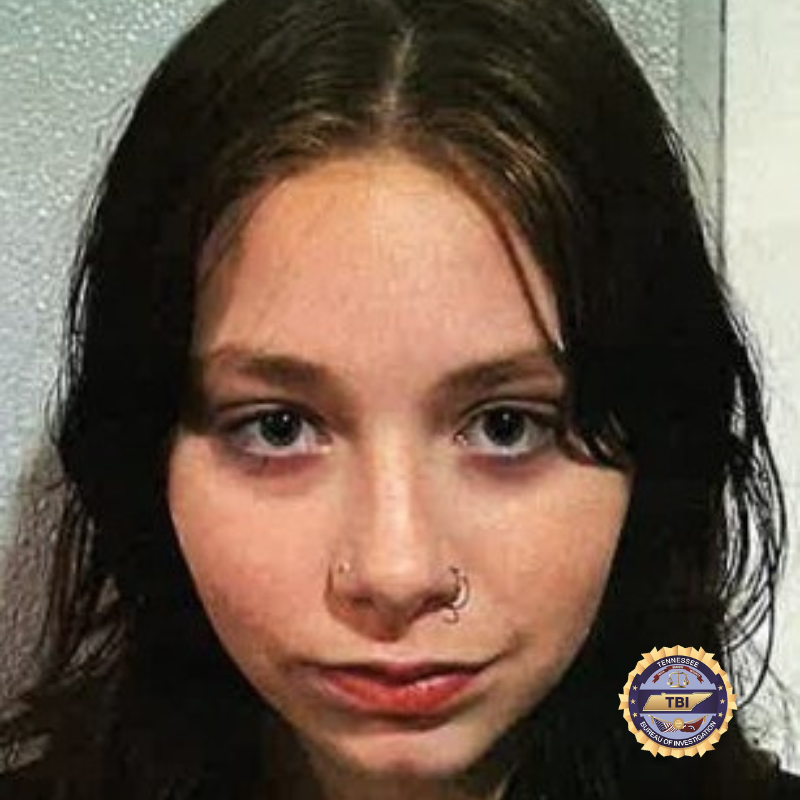 TBInvestigation's tweet photo. An Endangered Child Alert has been issued on behalf of the @Knoxville_PD for 15 y/o Isabella Hurlburt. She was last seen on January 22nd in the area of Division Street, wearing a cream-colored shirt and gray sweatpants.

Have info? Call KPD at 865-215-6883 or 1-800-TBI-FIND. https://t.co/724BlyHzcC