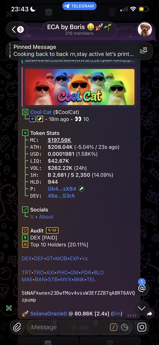 SolanaOracle0's tweet image. Watch your entry on $COOLCAT

note:BUY NOW

ca: 5bNAFkwnen23DwfMov4vsxW3EfZZB7qA8RT6AVQzpump