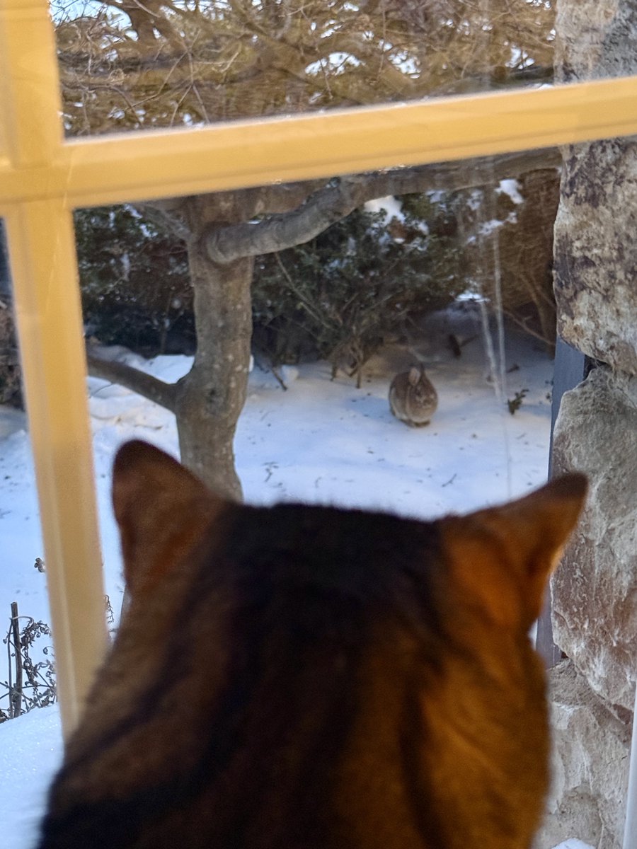 For the love of Missy. tweet media