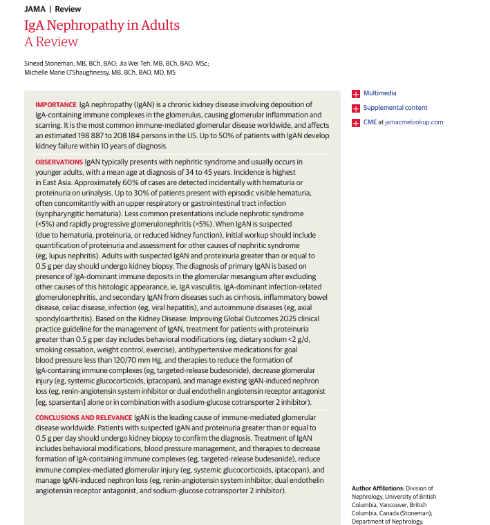 La Nefropatía IgA es la enfermedad glomerular más común, con una incidencia global estimada entre 1,4 y 2,5/100 000 personas en los EE. UU y el 50 % de los pacientes desarrolla "falla renal" a 10 años del diagnóstico. 

Aquí una revisión de JAMA: 10.1001/jama.2025.25020