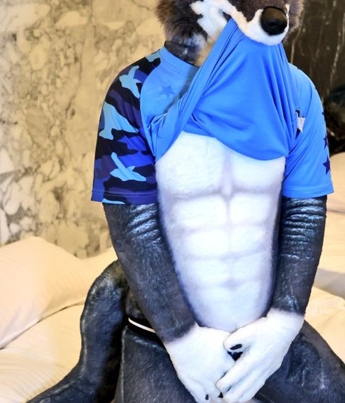 朱将［アケマサ］🐺📸 tweet media