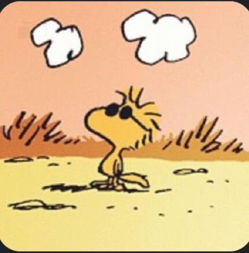 anna (taylor’s version)🪩 (@anniguanter) on Twitter photo 