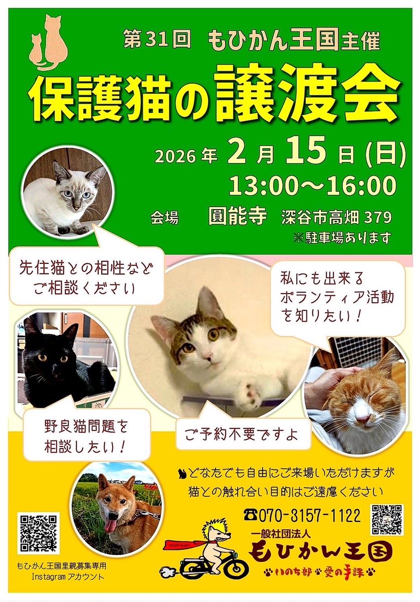 mohikan_oukoku's tweet photo. 【譲渡会のお知らせ】

2月15日(日)譲渡会
　会場:圓能寺
　住所:深谷市高畑379
　時間:13:00-16:00

猫のお迎えをお考えの方は保護猫という選択肢もあります。是非候補に加えて下さい。

グッズ販売やご支援品お持ち込み受け付けなどのブース&amp;キッチンカーの参加もあります。↓続く https://t.co/VJGhj8xXNW
