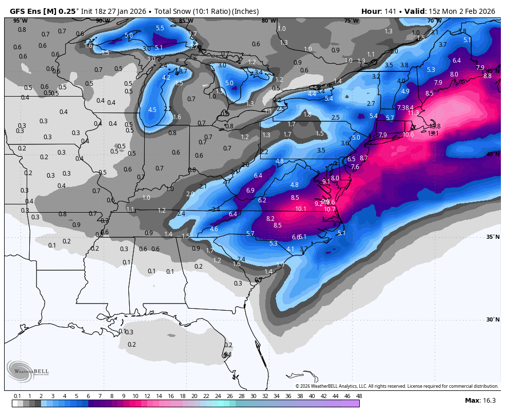 𝐝𝐬𝐩𝐫𝐢𝐧𝐠𝐳ᵂˣ tweet media