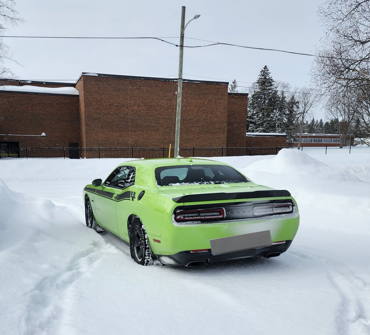 Eclipse🦌➡️FE/LVFC/FWA/MP tweet media