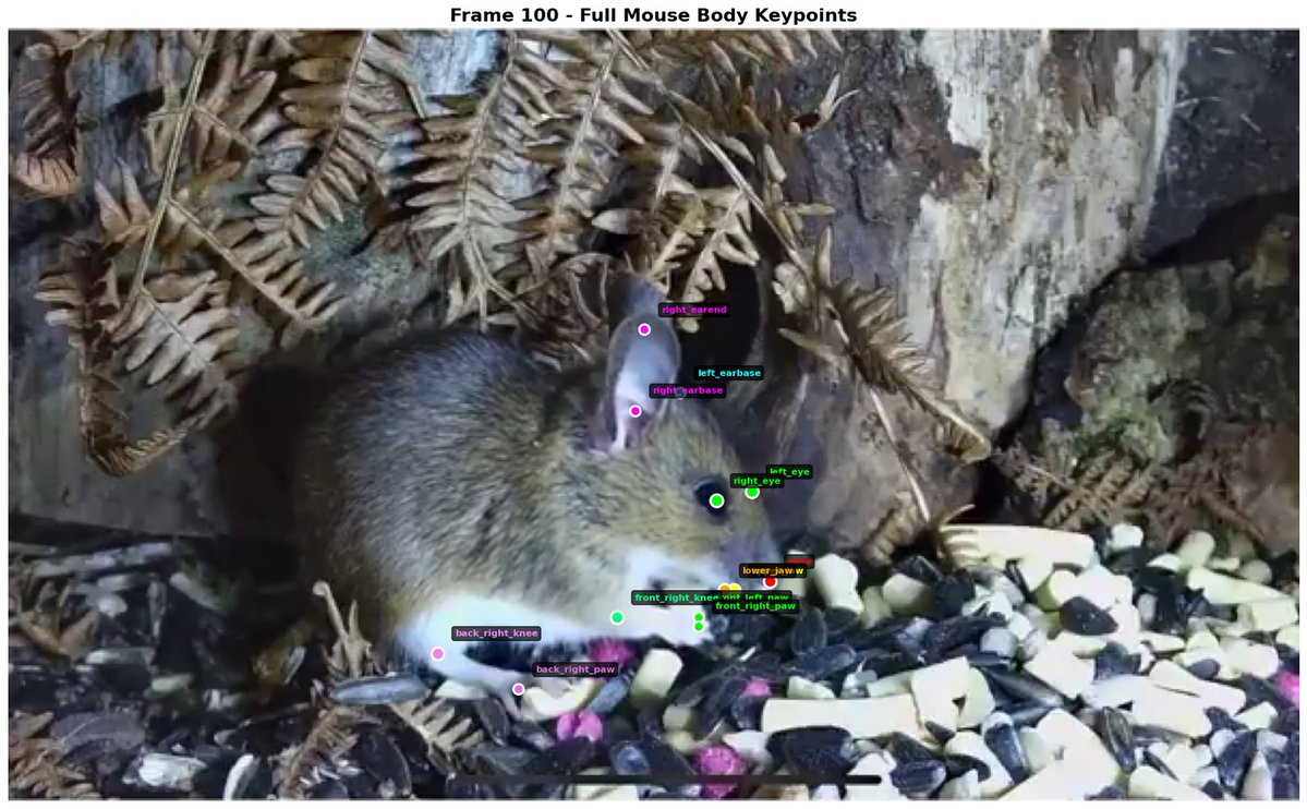 Neuro_Algorithm🧑🏽‍💻 tweet media