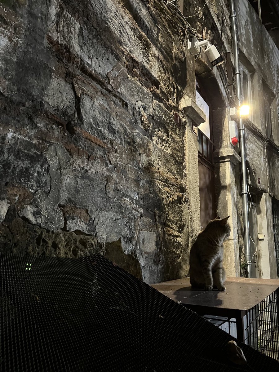 efemerist (@_efemerist) on Twitter photo 