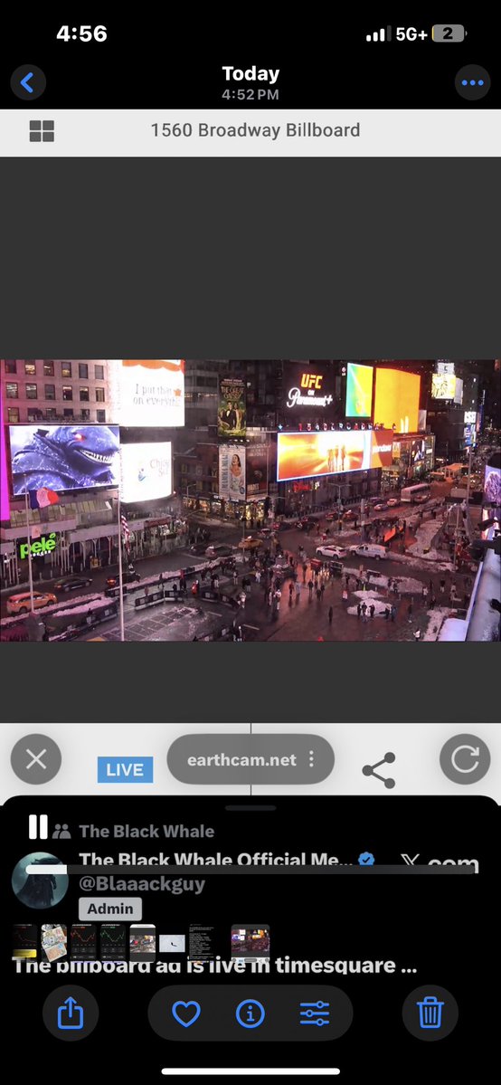 Late night #bullboard action $blackwhale