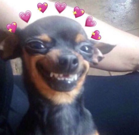 A gift a day keeps the doctor away!!