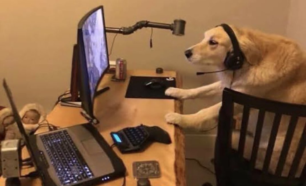 Yo viendo videos de gente viajando con la moto que me quiero comprar