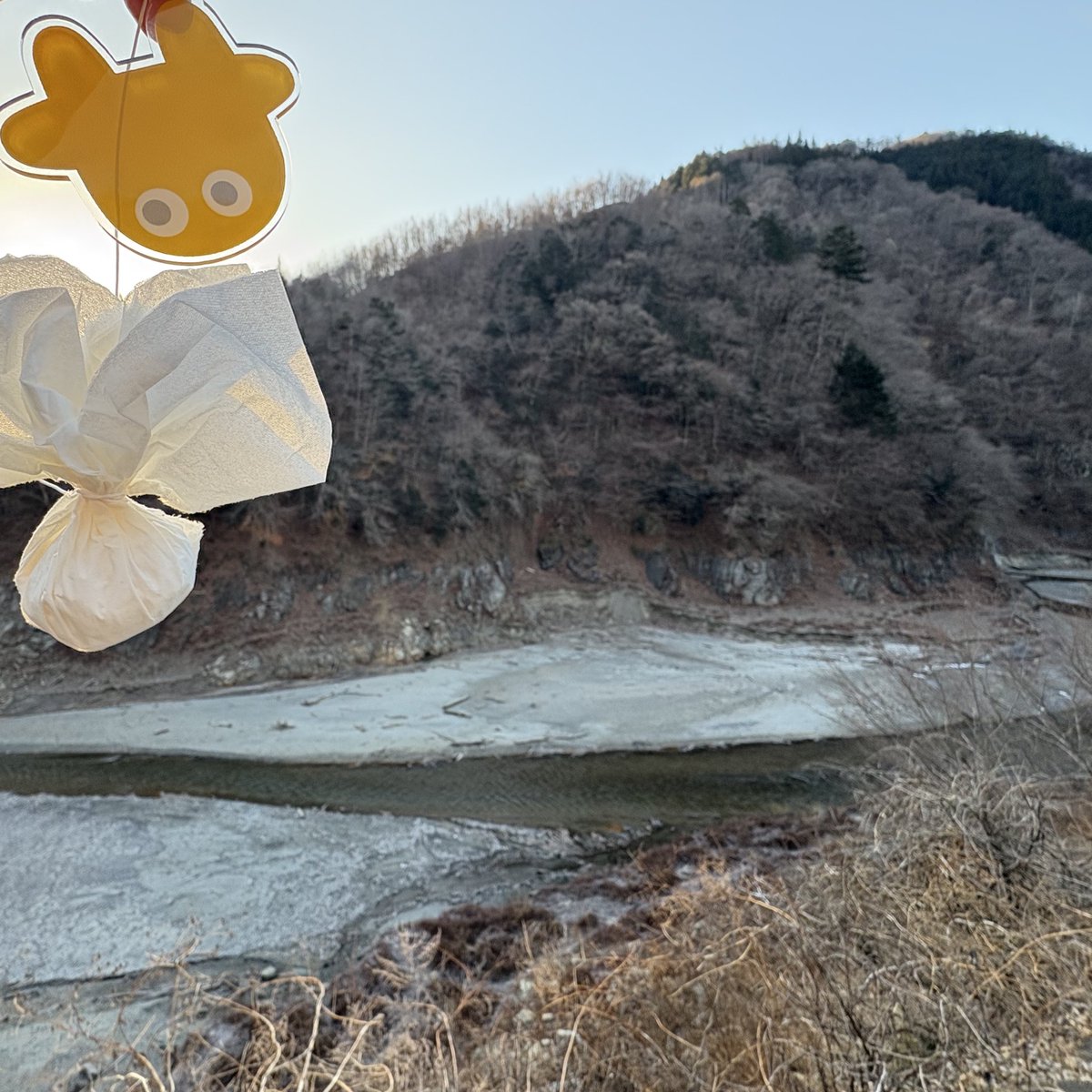 tabayamamura's tweet photo. 東京都水道局から小河内貯水池の貯水量が平成以降過去最低と発表がありました

都民の水源の2割を担っている多摩川の上流部、丹波川
奥多摩の奥の丹波山村「ダムに沈んだ村」鴨沢地区も、過去類をみない水量

#タバスキー も「ふれふれ坊主」に倣ってひっくり返ってみたり。
#丹波山村 #山梨県 #多摩川 https://t.co/uNErecO7uY