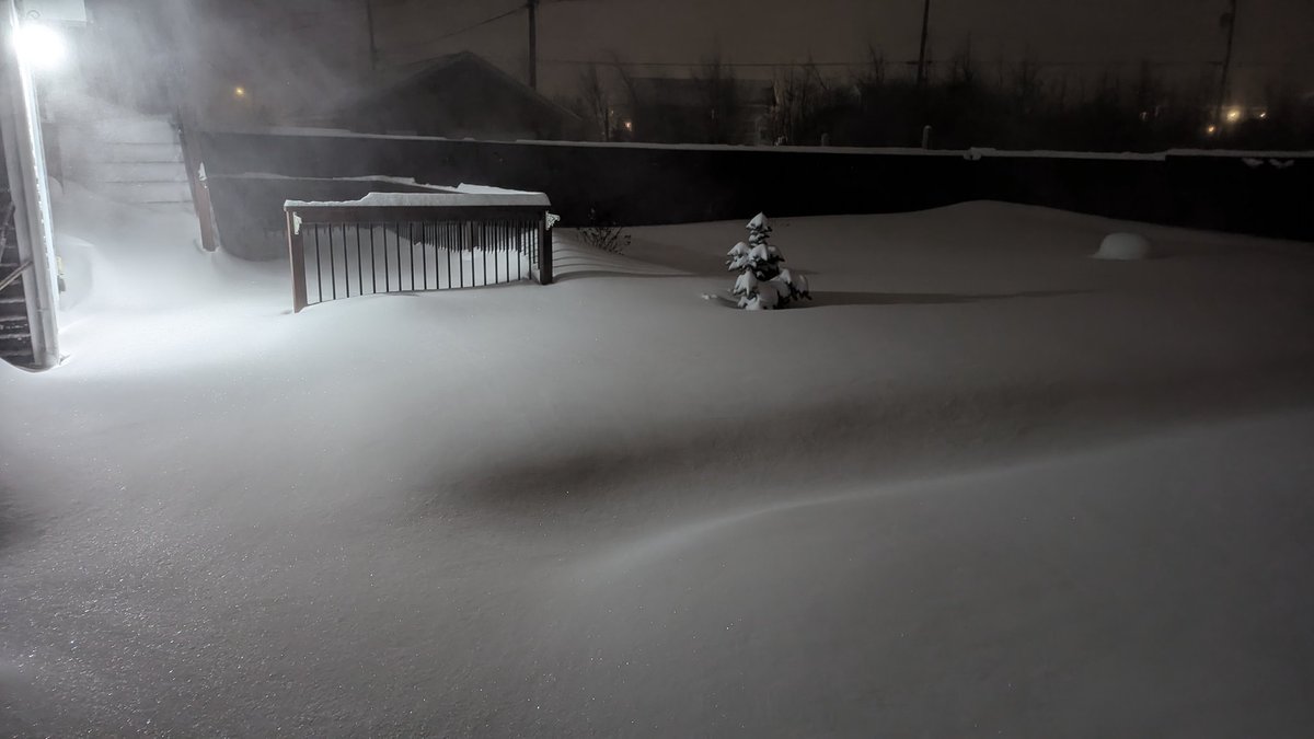 Rodney Barney tweet media