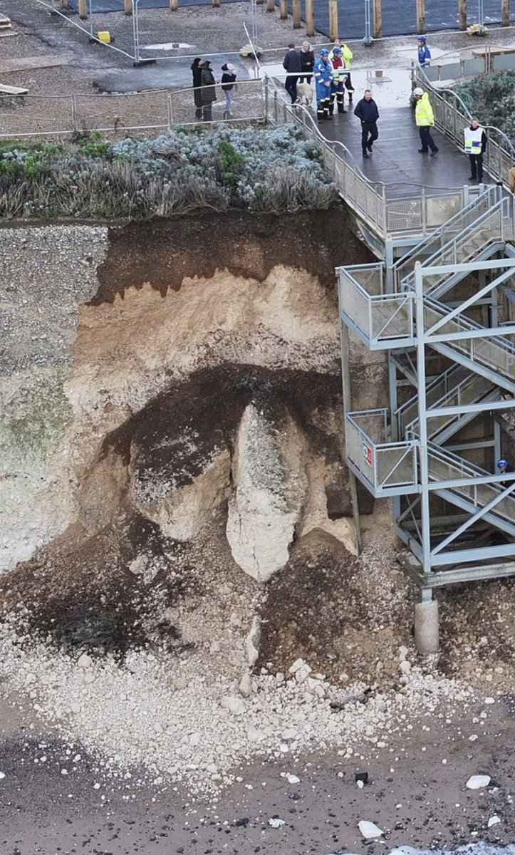 eddie mitchell tweet media