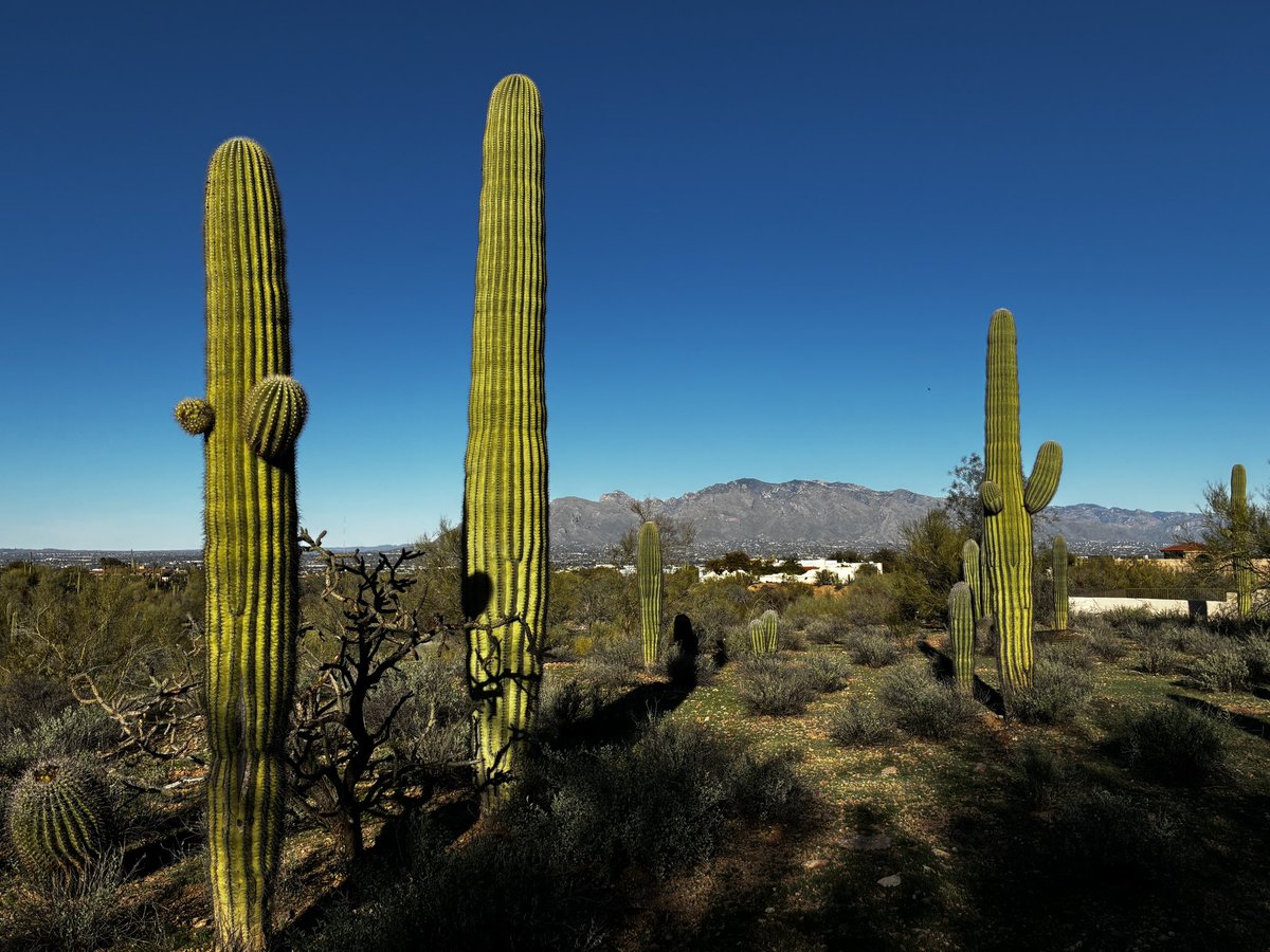 SeizureSalad 🧠 tweet media