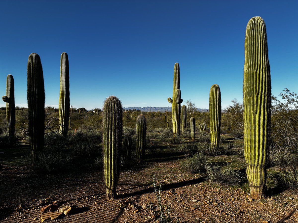 SeizureSalad 🧠 tweet media