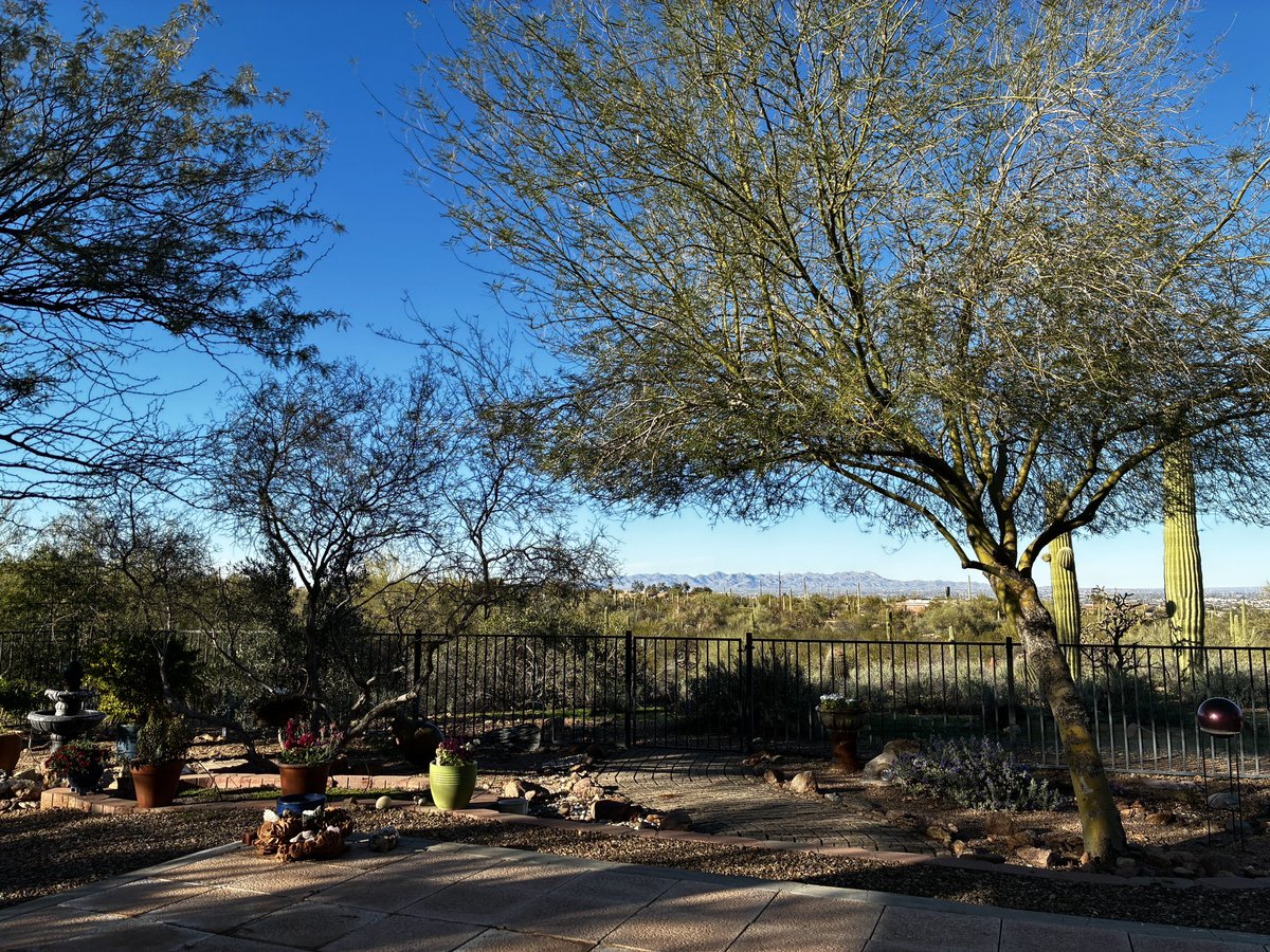 SeizureSalad 🧠 tweet media