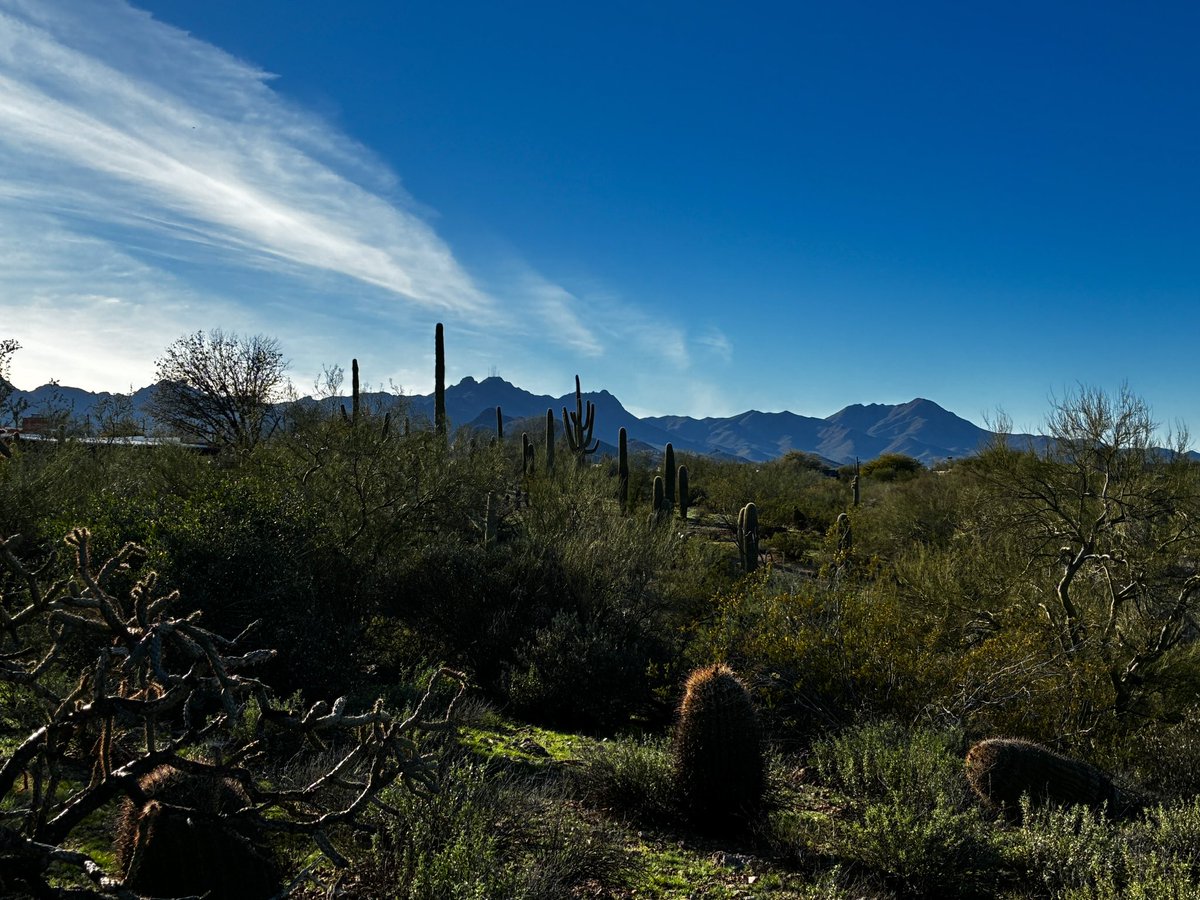 SeizureSalad 🧠 tweet media