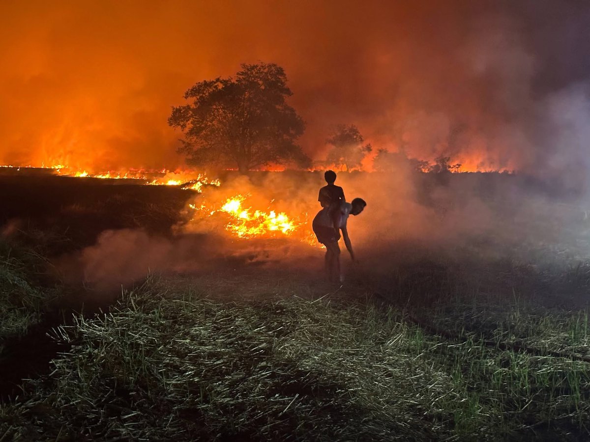 Sim_Cin's tweet image. เมื่อวานที่นครนายกมีคนลักลอบเผาตอซังข้าวแล้วควบคุมไฟไม่ได้ลามไปเป็นวงกว้างระดับพันไร่ ตั้งแต่เมื่อวานถึงเมื่อคืนเจ้าหน้าที่ยังระดมกำลังไปช่วยกันดับไฟอยู่เลย ในเพจนครนายกบ่นกันใหญ่แสบจมูกจนนอนกันไม่ได้