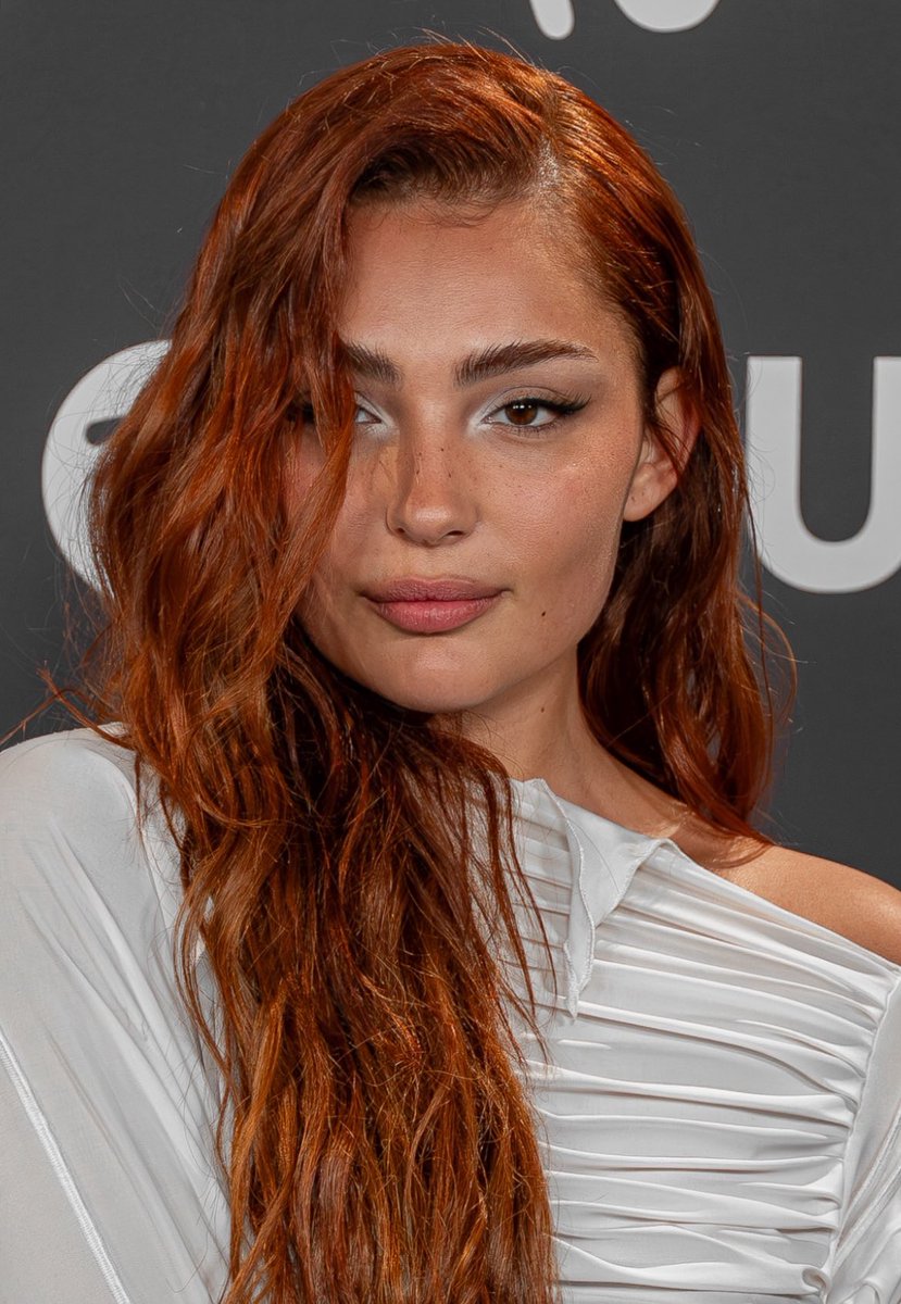 valentina tweet media