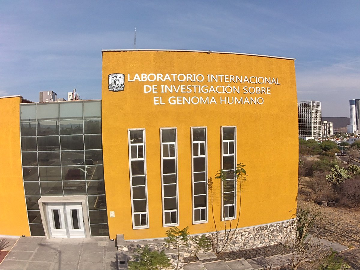 Federico Sanchez Quinto tweet media