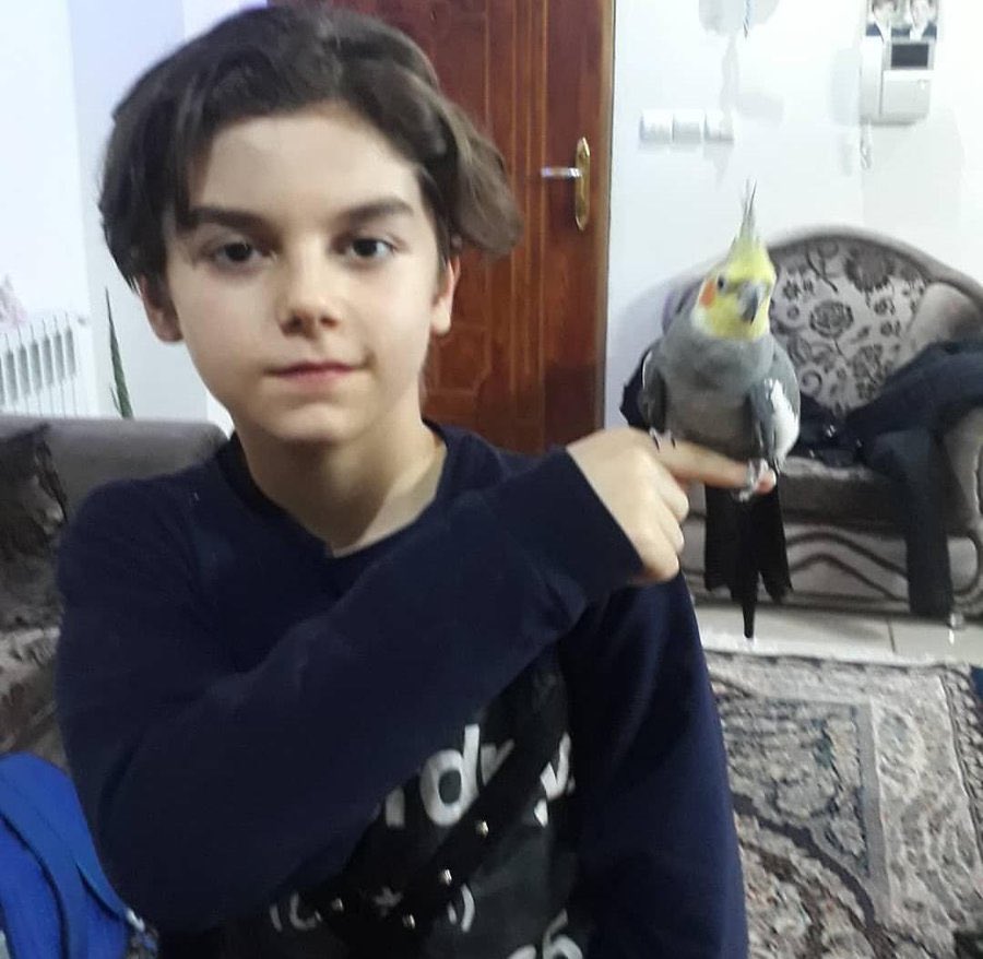 فیلی که توسط مار بوا خورده شد (@ba_bidi_bu) on Twitter photo 