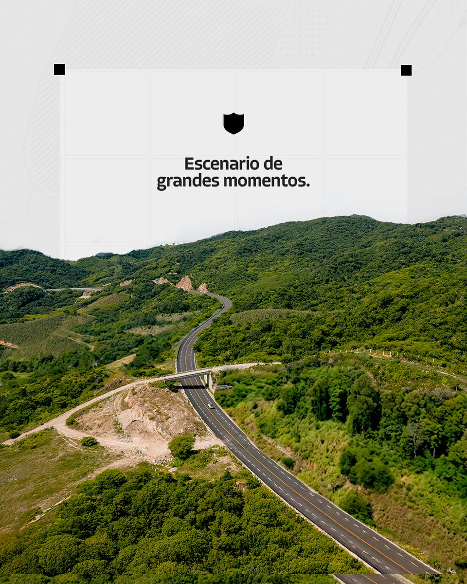 VISE México tweet media