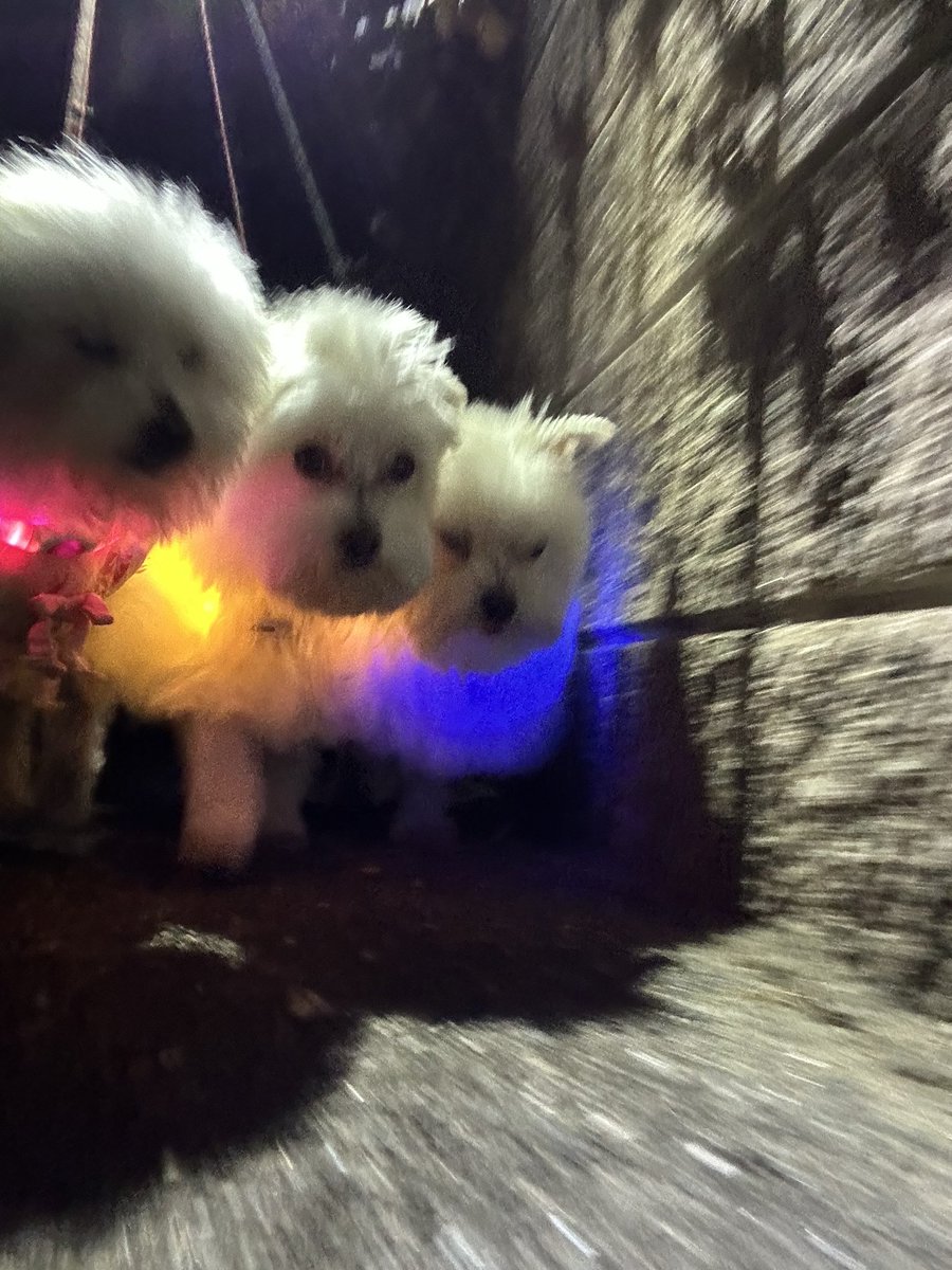 絶対に負けられない戦いがそこにある