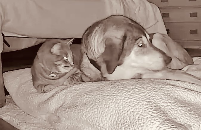SallyStap's tweet photo. Dynamic duo https://t.co/VEwaY5sQDq