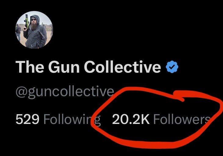 The Gun Collective tweet media
