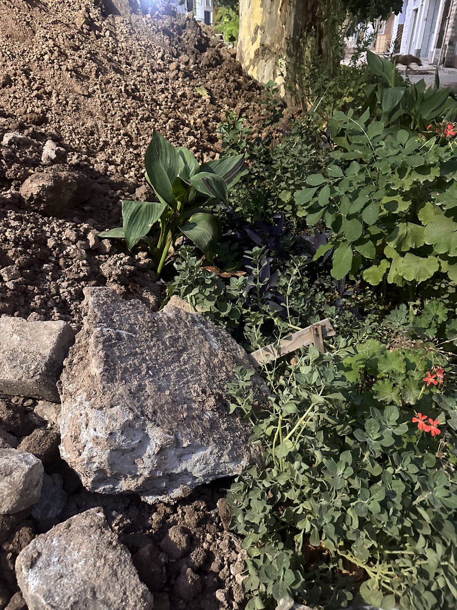 Teniendo toda la calle cortada a <a href="/AguasSantaFe/">Noticias de Aguas Santafesinas</a> le pareció más correcto tirar la tierra y escombros sobre las plantas del cantero. No se puede más de boludos