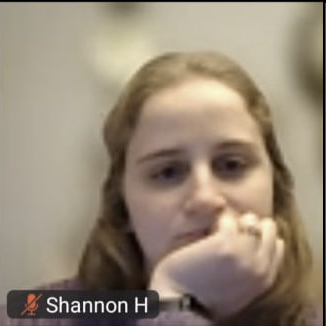 jimmy_rustlin's tweet image. Meet Shannon Hahnen, a civil engineer from Shakopee MN. She was spotted learning about how to identify and report ICE agents in Brad Tabke's training zoom. Was the meeting worth it because you look bored.